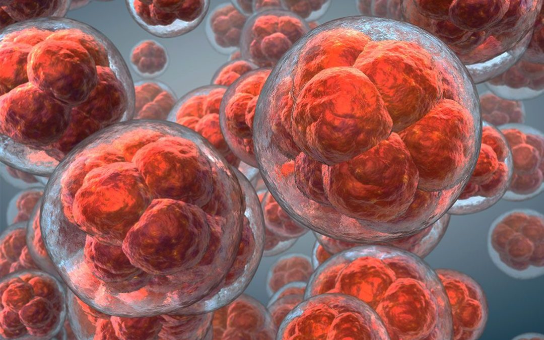 Stem Cells in Medical Treatment: A Comprehensive Guide