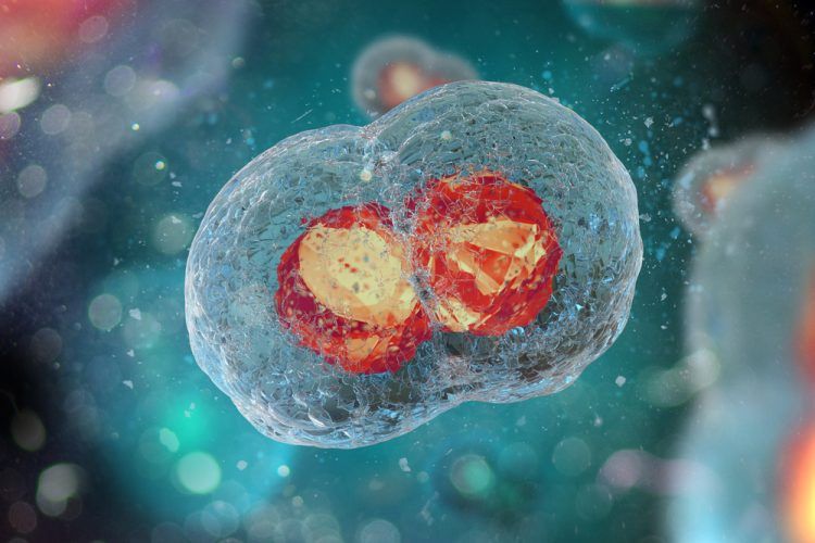 Potentials of Regenerative Medicine Explored