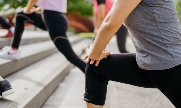 Advances in Knee Cartilage Regeneration Medicine