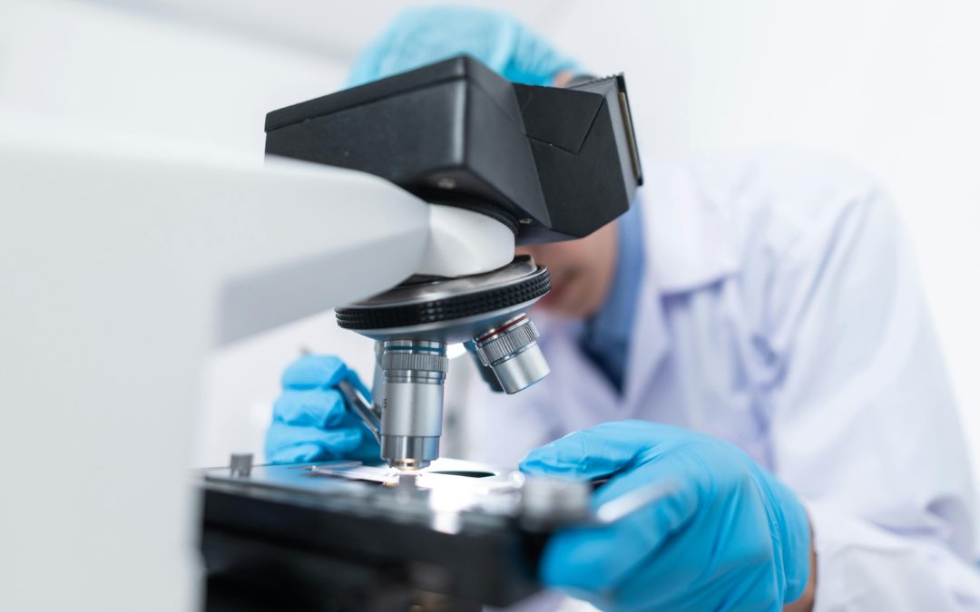 Exploring the Potential of MSC Exosomes in Modern Therapies