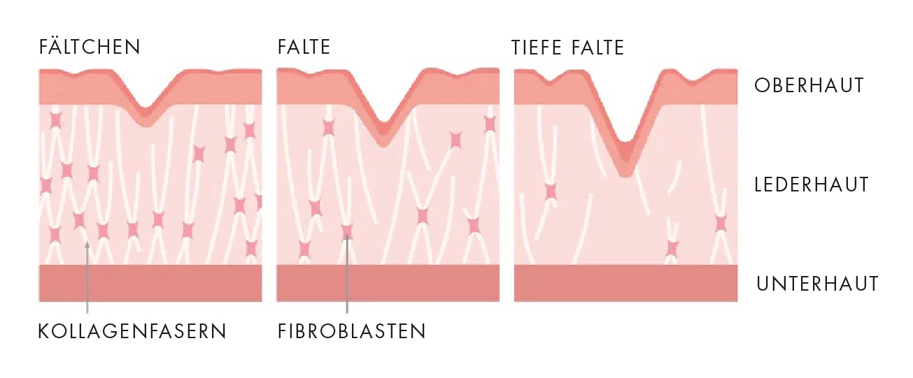 Faltenarten