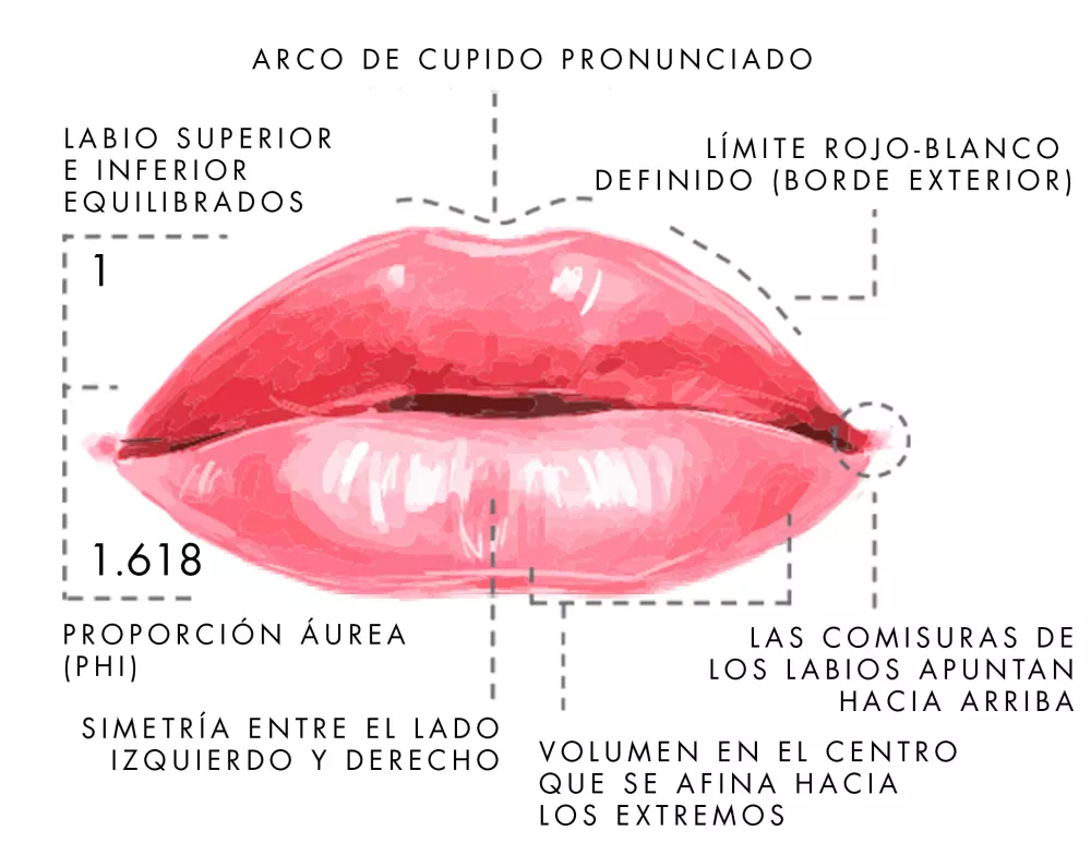 El labio perfecto