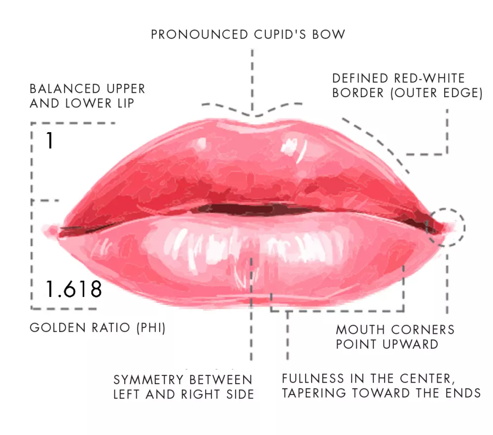 The perfect lips