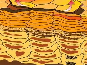 structure of epidermis
