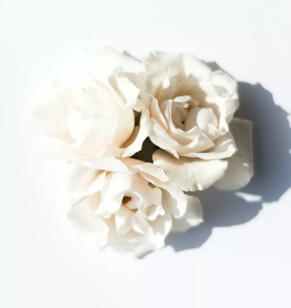 Intimate Bleaching