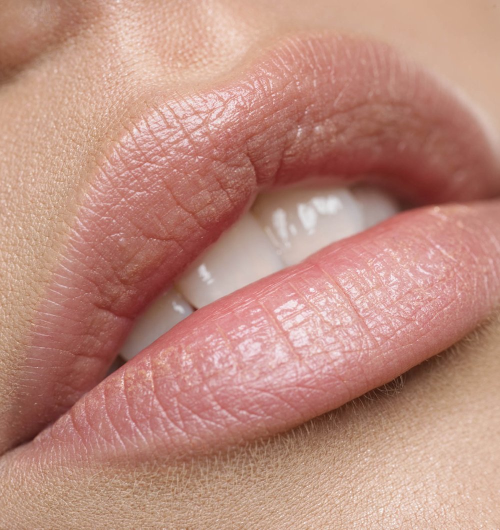 Lips
