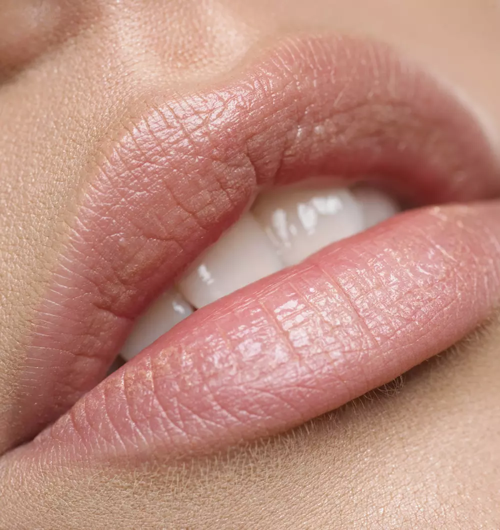 Lips